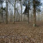 Civil War era cemetary
Along the Patoka River