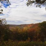 Fall foliage
Along the East Fork of the White River