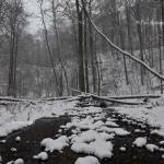 A stream in the snow
Big Walnut Nature Preserve