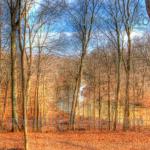 Patoka River Bluff (HDR photo)